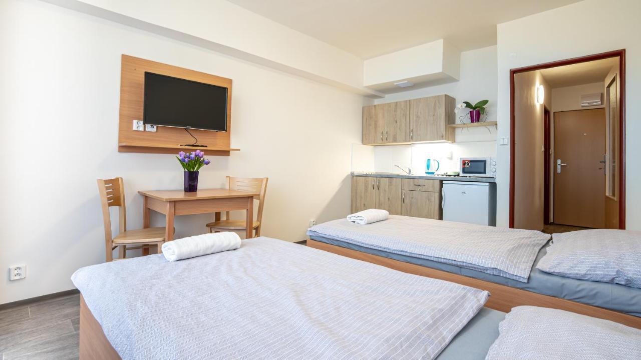 Apartmany A Studia Zamecky Park ลิทวินอฟ ภายนอก รูปภาพ